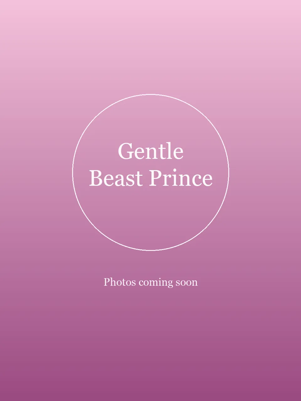 Gentle Beast Prince party character in Austin