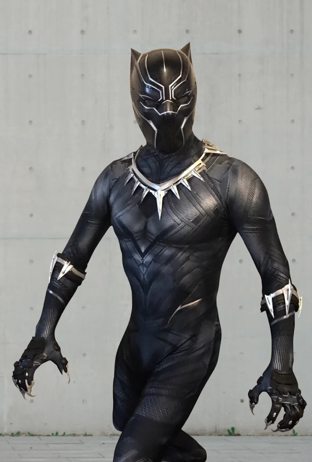Panther Hero party character in Austin