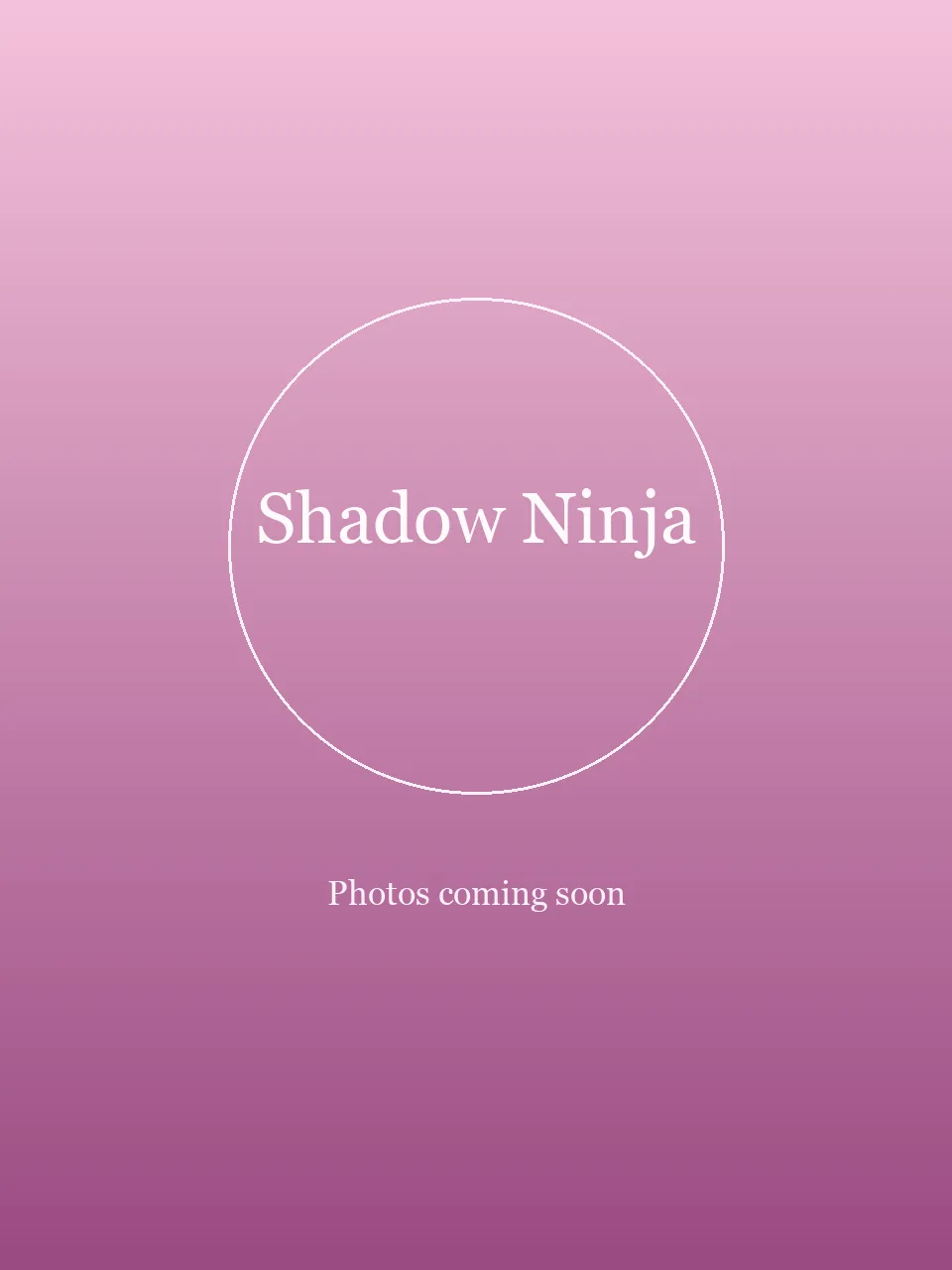 Shadow Ninja party character in Austin