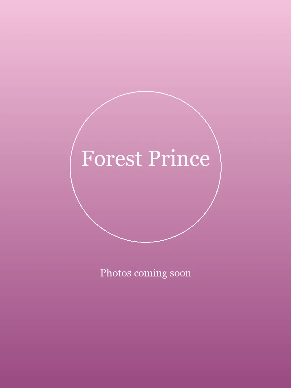 Forest Prince party character in Austin