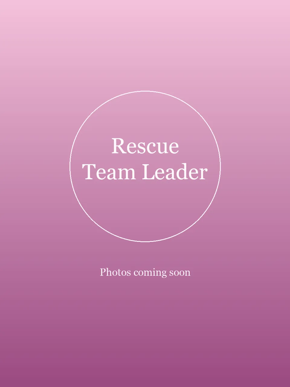 Rescue Team Leader party character in Austin