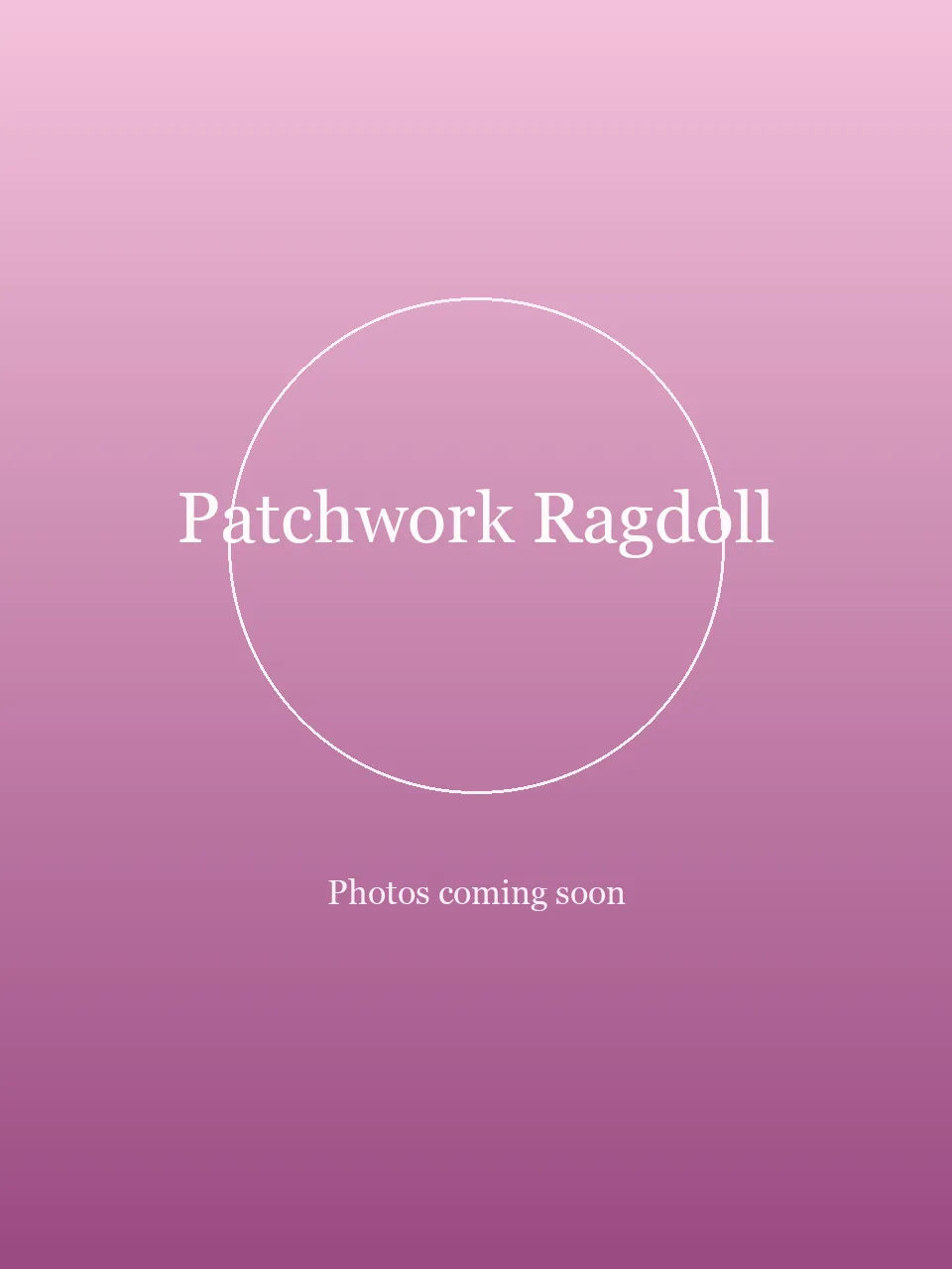 Patchwork Ragdoll party character in Austin